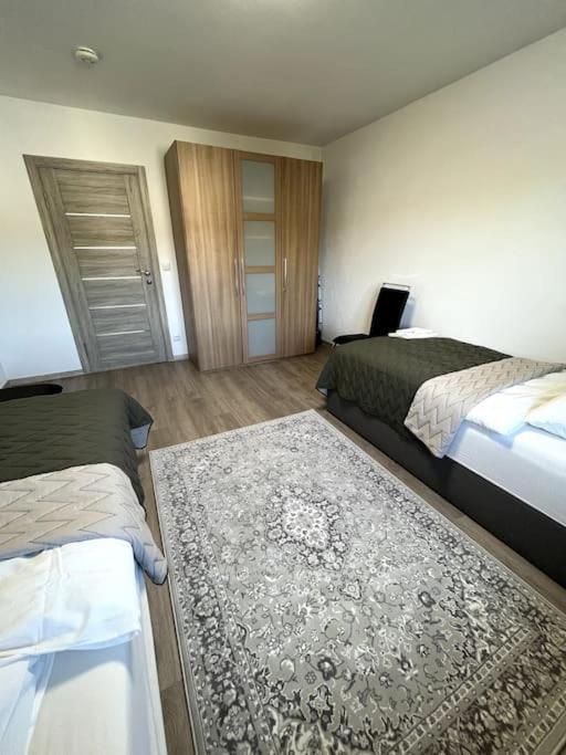 Familienwohnung Naehe Europapark, Messe, Gifiz See Offenburg Eksteriør billede